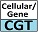 Cellular/Gene Therapy